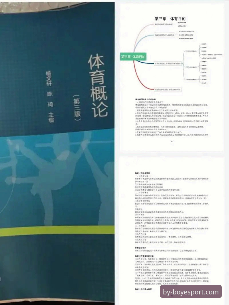 资深用户深度剖析：博业体育中国功能详解，从注册到竞技的全流程实战心得